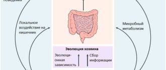 Симбионт в биологии: сотрудничество или взаимодействие?