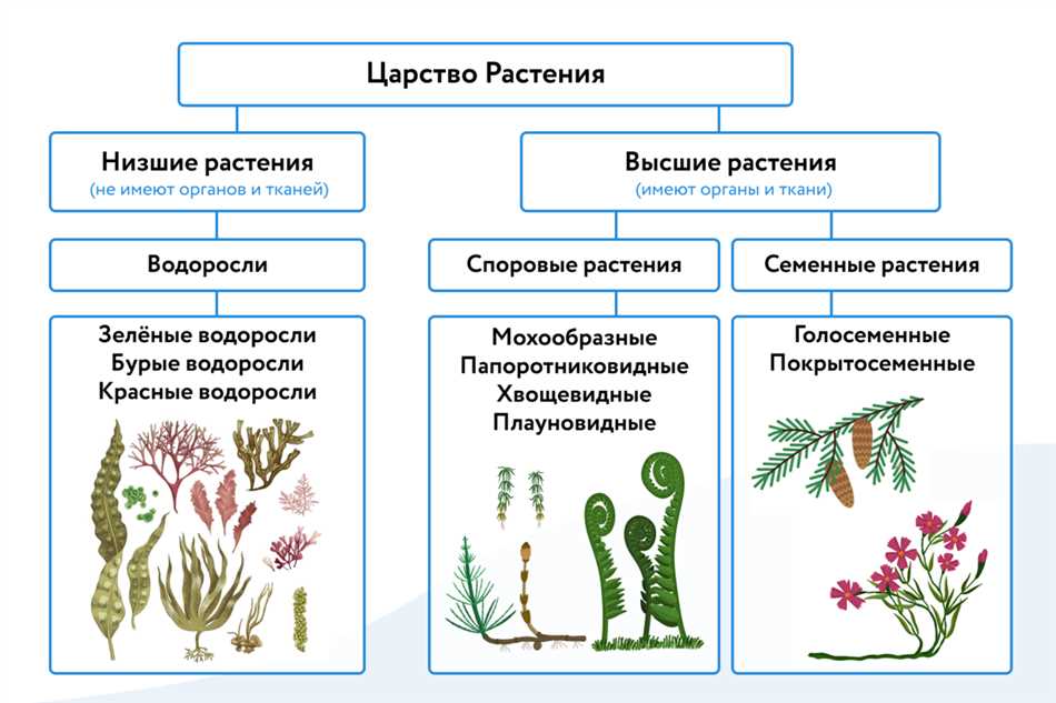 Вы точно человек?