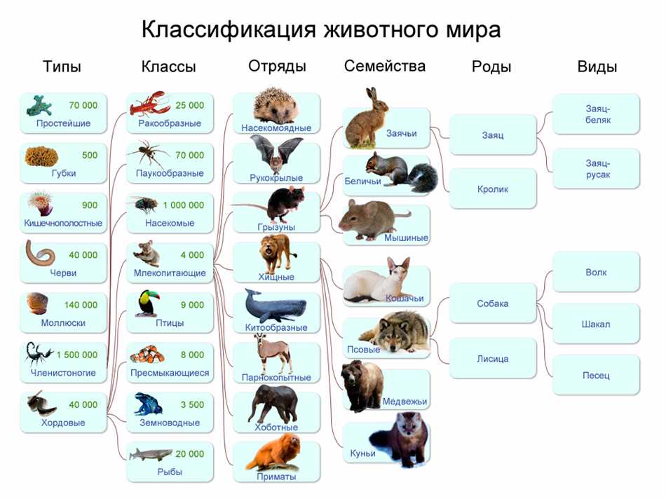 Происхождение человека