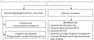 Следственное управление МВД России: орган расследования преступлений — подробный обзор и особенности