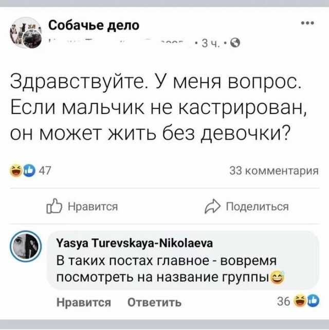 Смешной ответ на вопрос почему