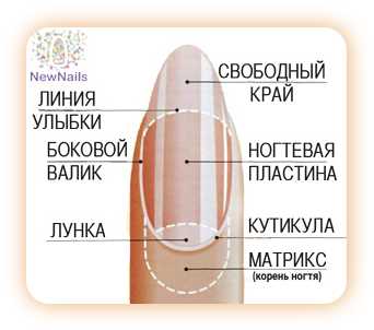 Гиперкератоз ногтей – симптомы, причины, признаки и методы лечения у взрослых в «СМ-Клиника»