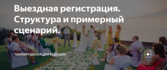 Как провести выездную регистрацию брака: подробный сценарий для ведущей