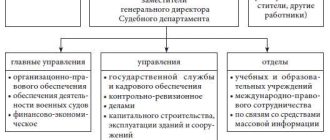 Судебный департамент при Верховном Суде Российской Федерации: функции и особенности